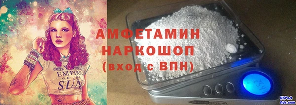 PSILOCYBIN Алзамай