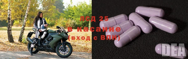 PSILOCYBIN Абаза