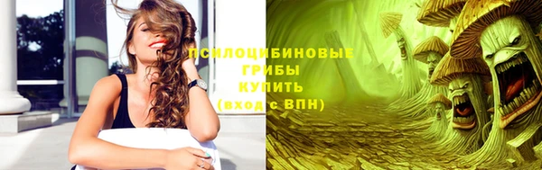 PSILOCYBIN Абаза