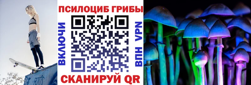Галлюциногенные грибы Psilocybe  мориарти состав  Лосино-Петровский 