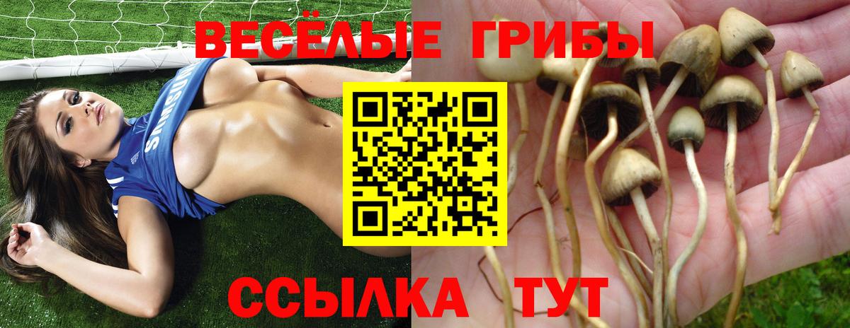 Псилоцибиновые грибы Magic Shrooms Лосино-Петровский